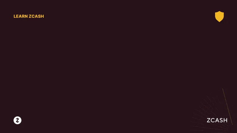 The Zcash Surge: What the Data Says About Its Price and Future